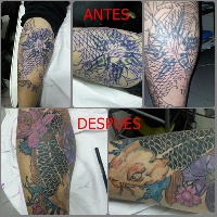 Cover-Up 4